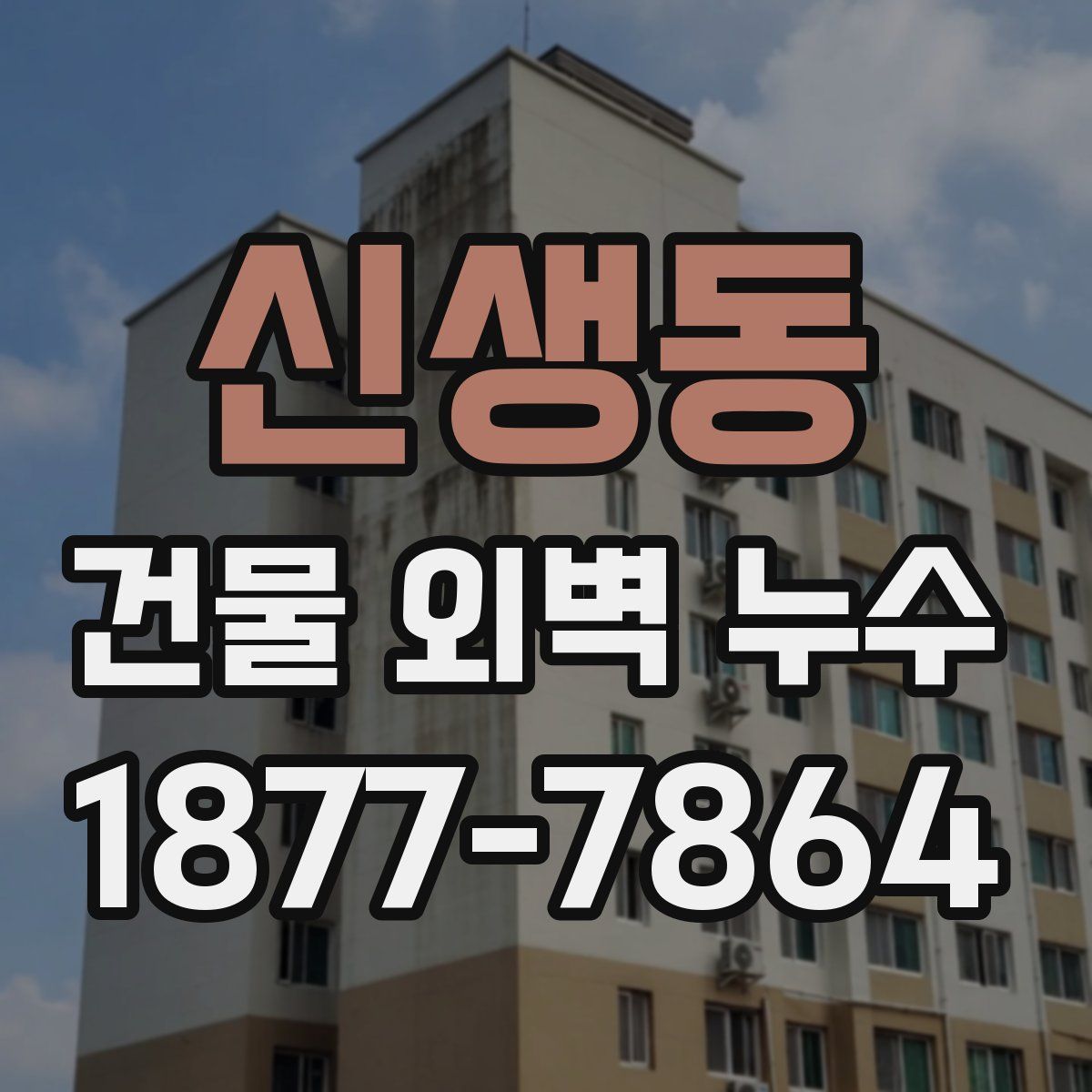 신생동 건물 외벽 누수