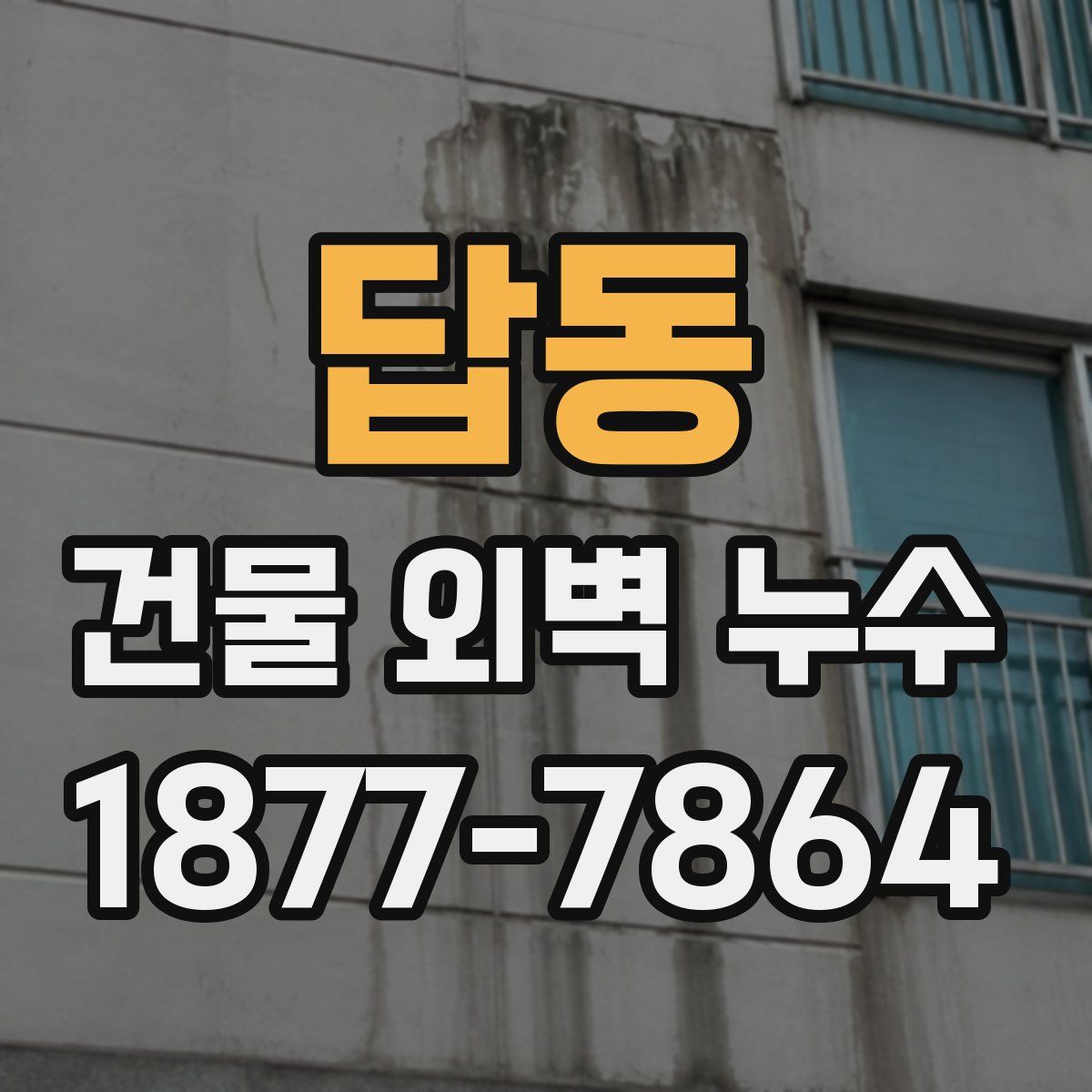 답동 건물 외벽 누수