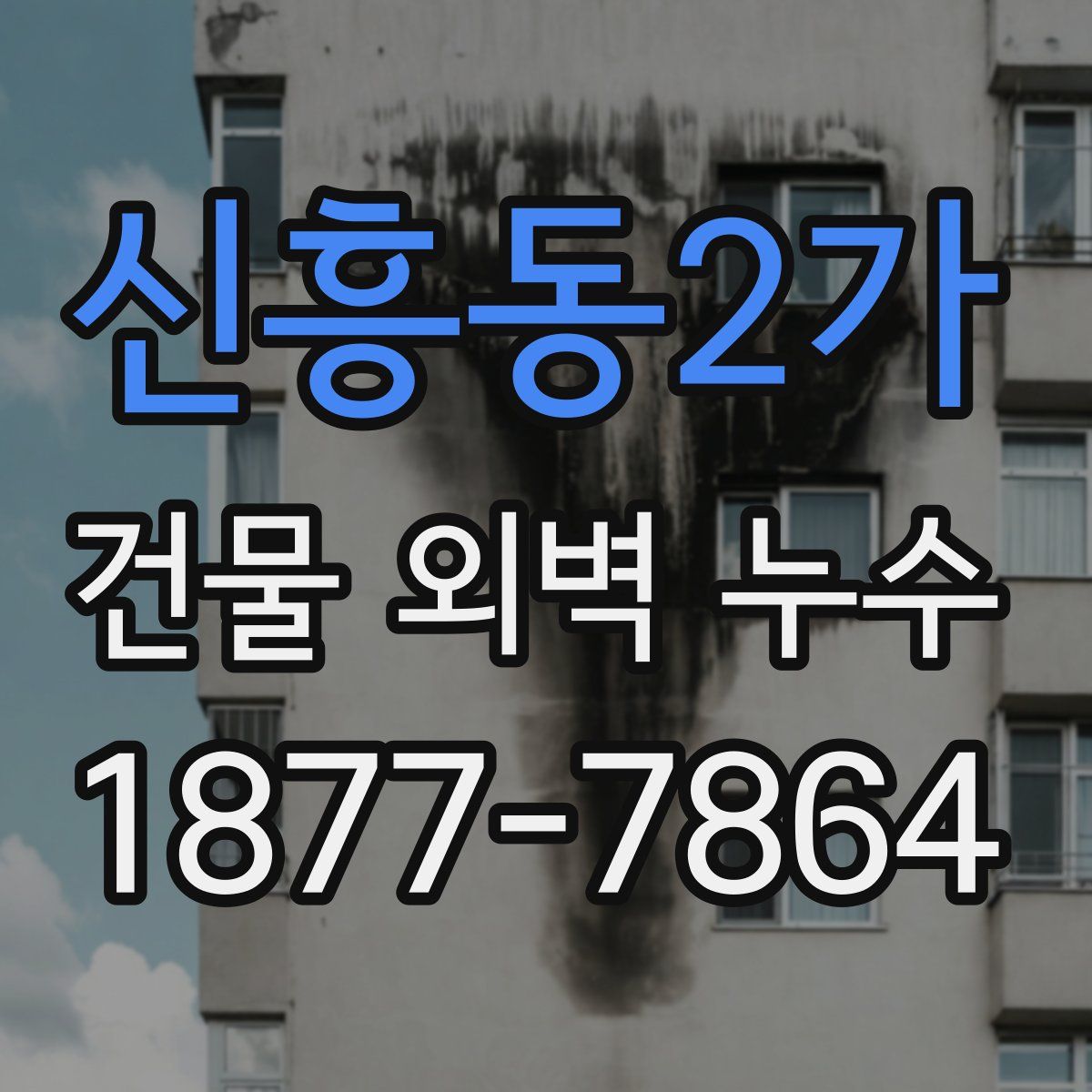 신흥동2가 건물 외벽 누수