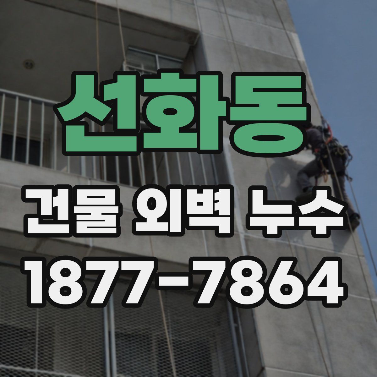 선화동 건물 외벽 누수
