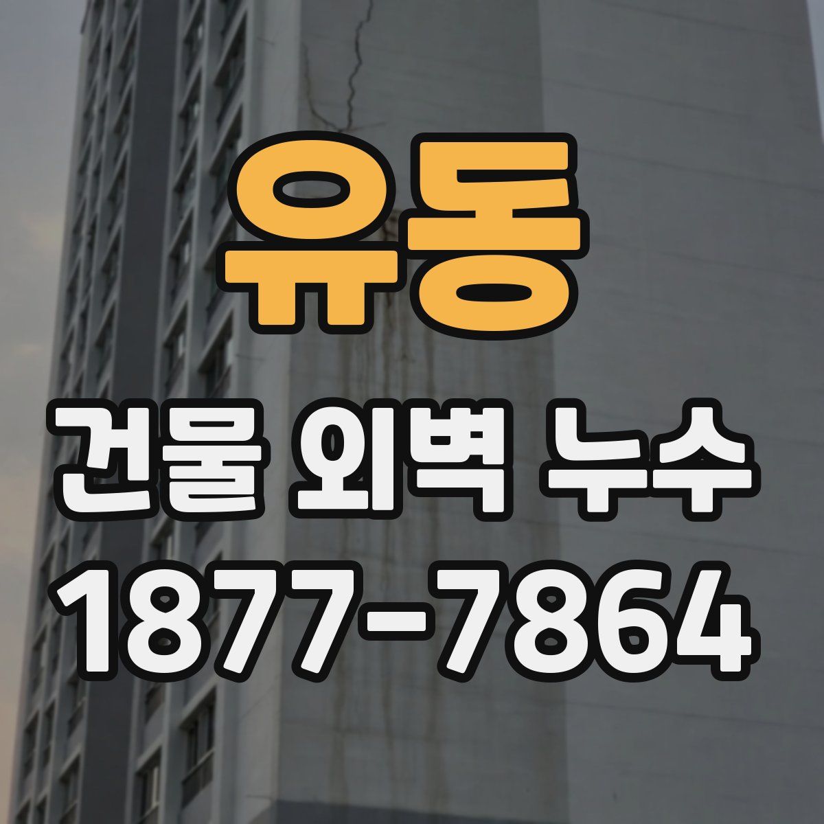 유동 건물 외벽 누수