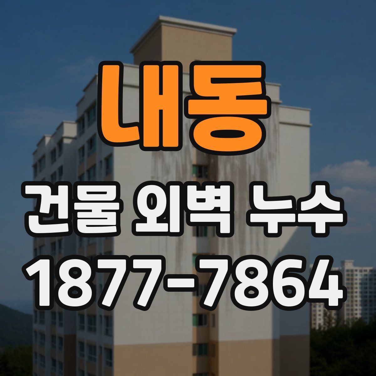 내동 건물 외벽 누수