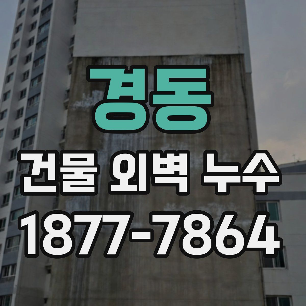 경동 건물 외벽 누수