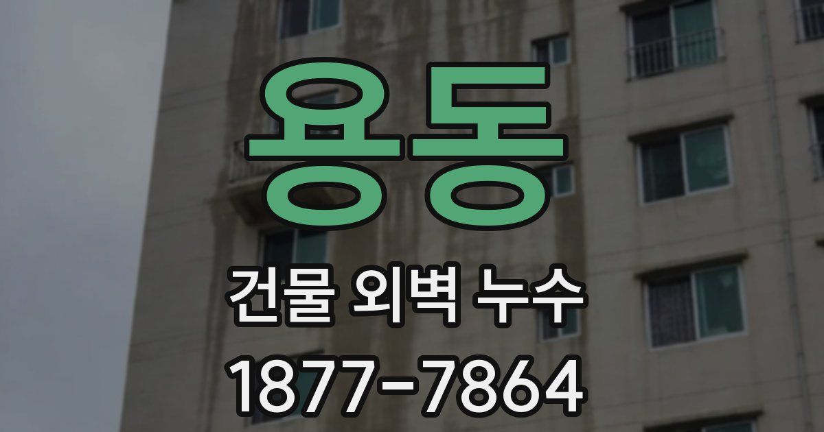용동 건물 외벽 누수