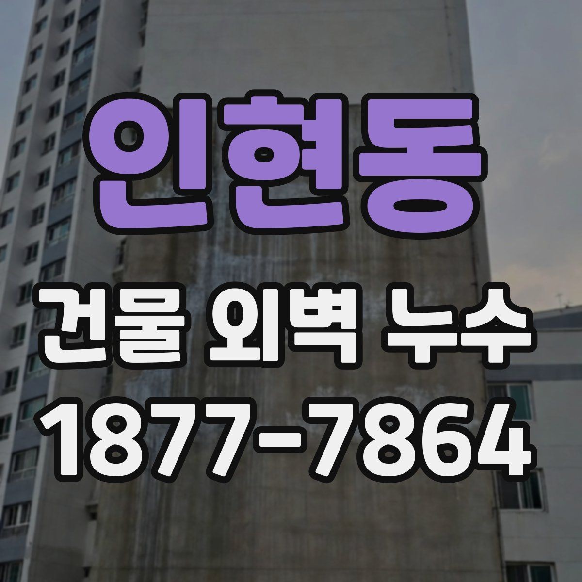 인현동 건물 외벽 누수 의심 부위의 특징