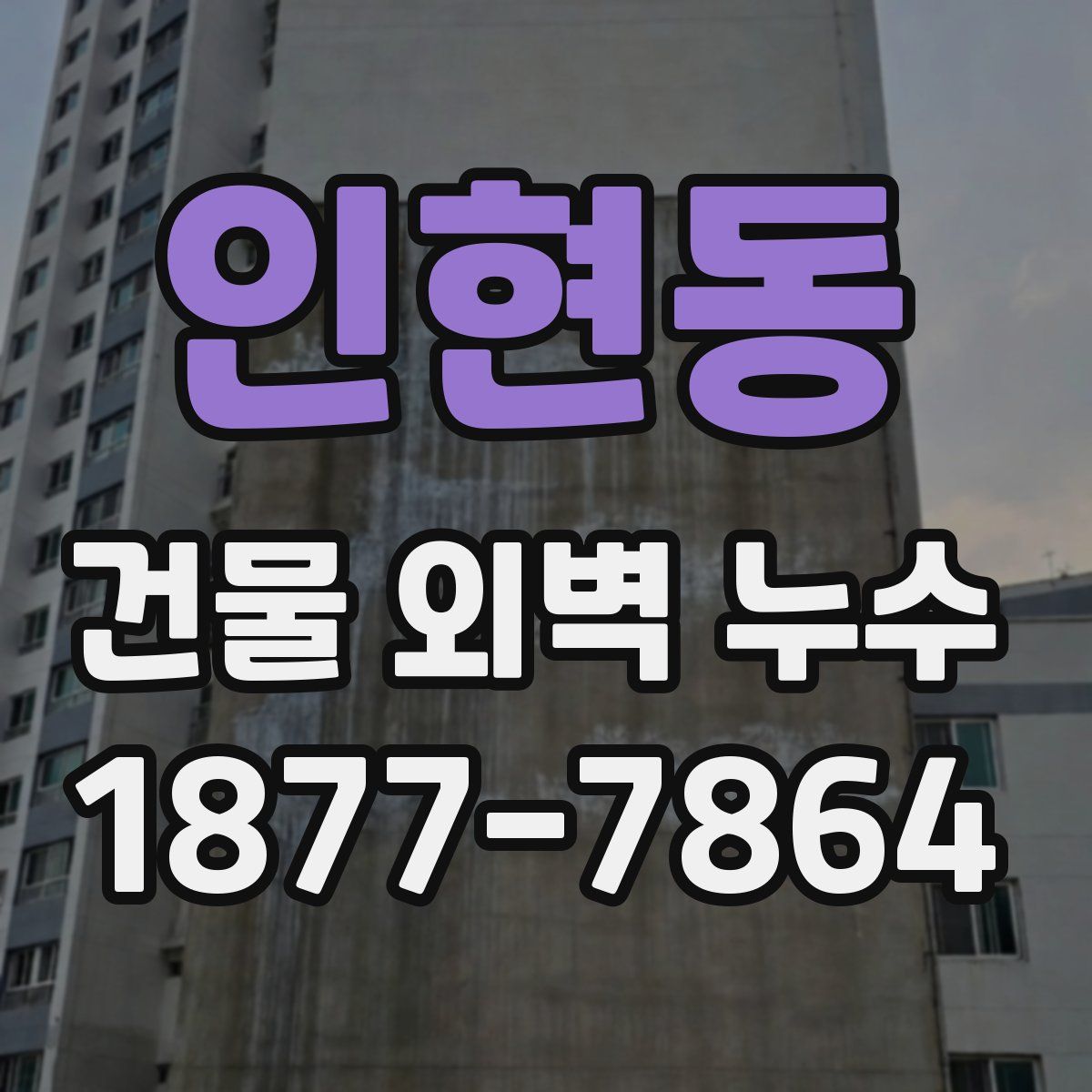 인현동 건물 외벽 누수