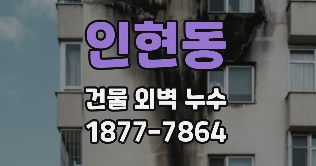 인현동 건물 외벽 누수