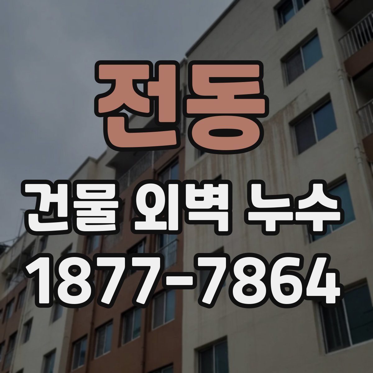 전동 건물 외벽 누수