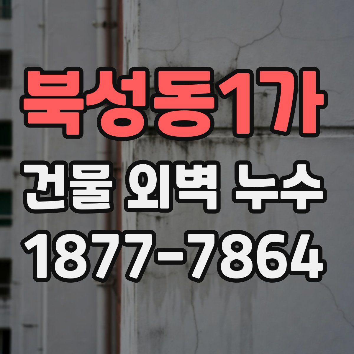 북성동1가 건물 외벽 누수