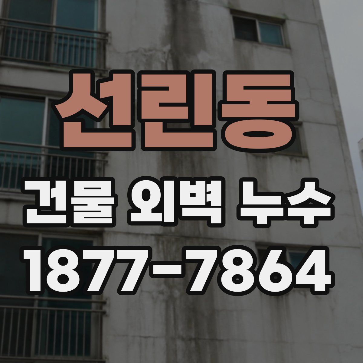 선린동 건물 외벽 누수