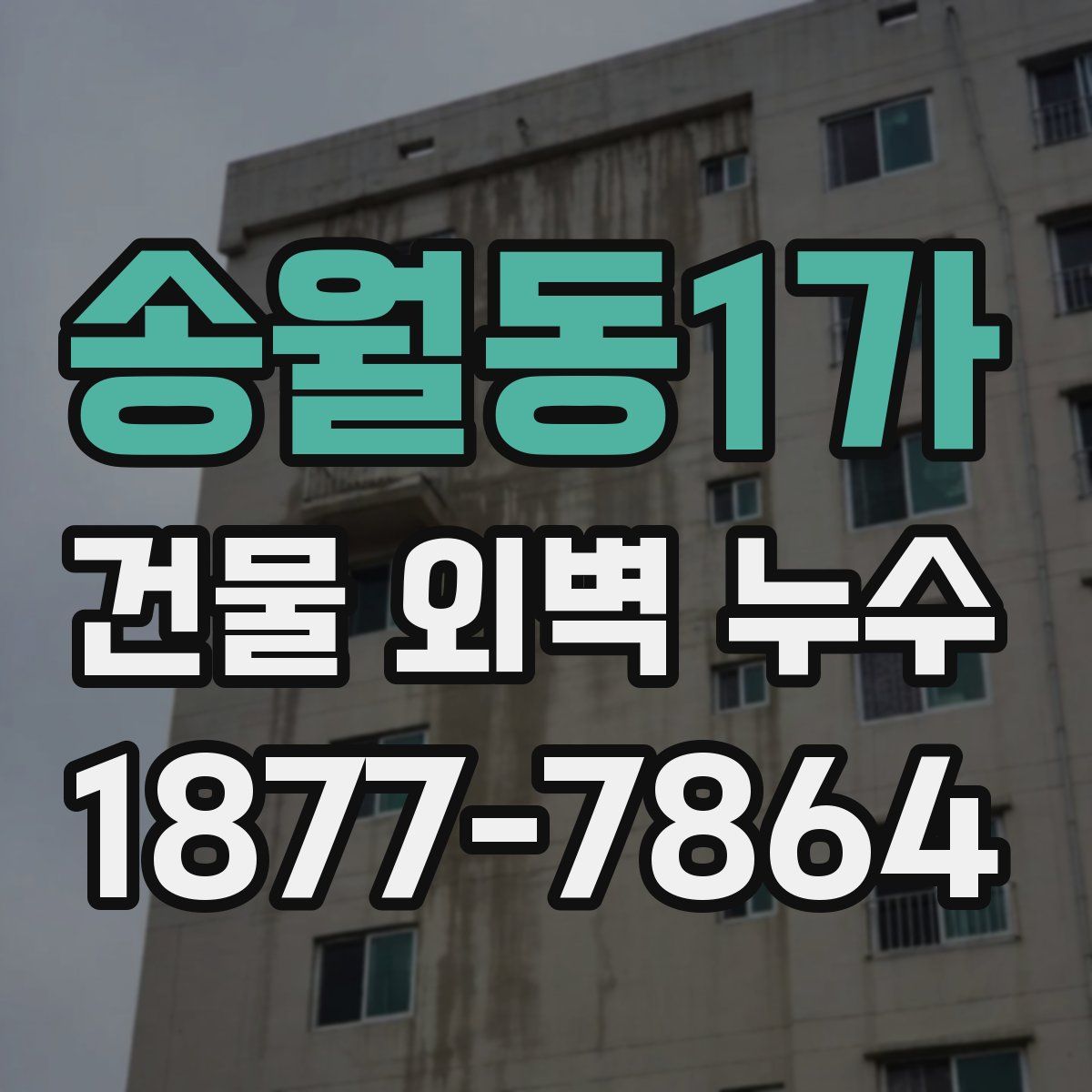 송월동1가 건물 외벽 누수