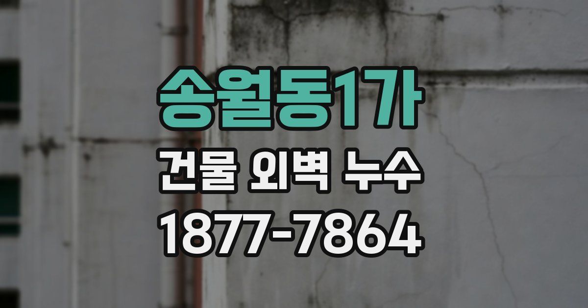 송월동1가 건물 외벽 누수