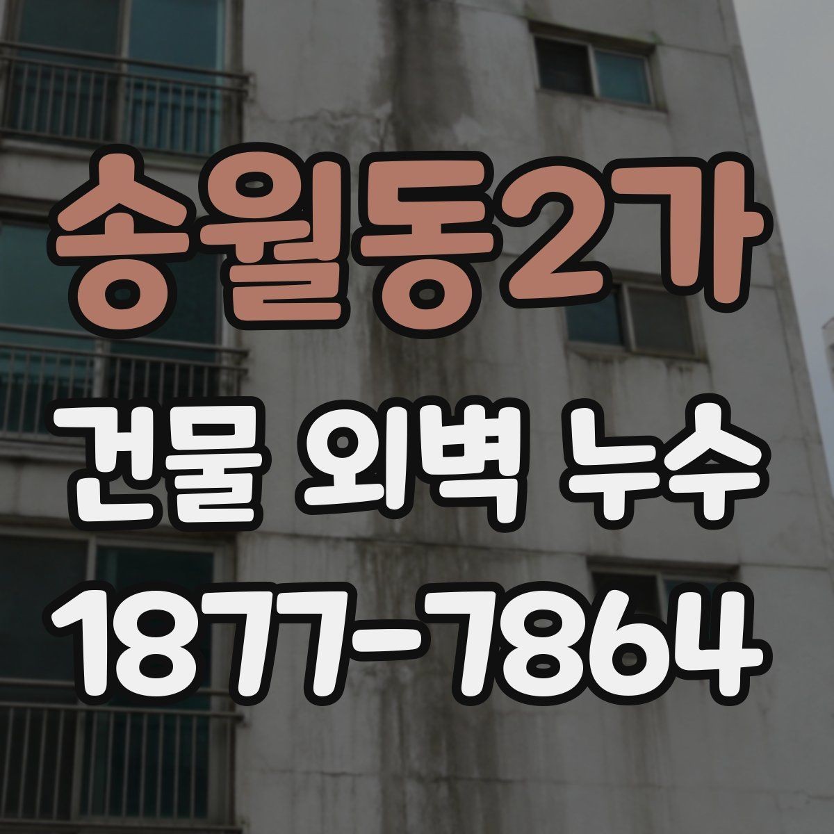 송월동2가 건물 외벽 누수 보수 시기 판단하는 방법