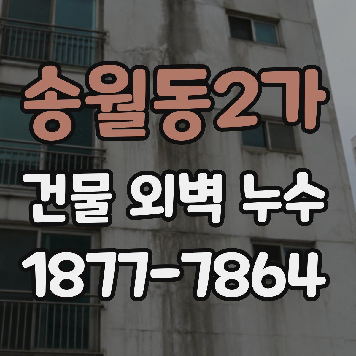 송월동2가 건물 외벽 누수