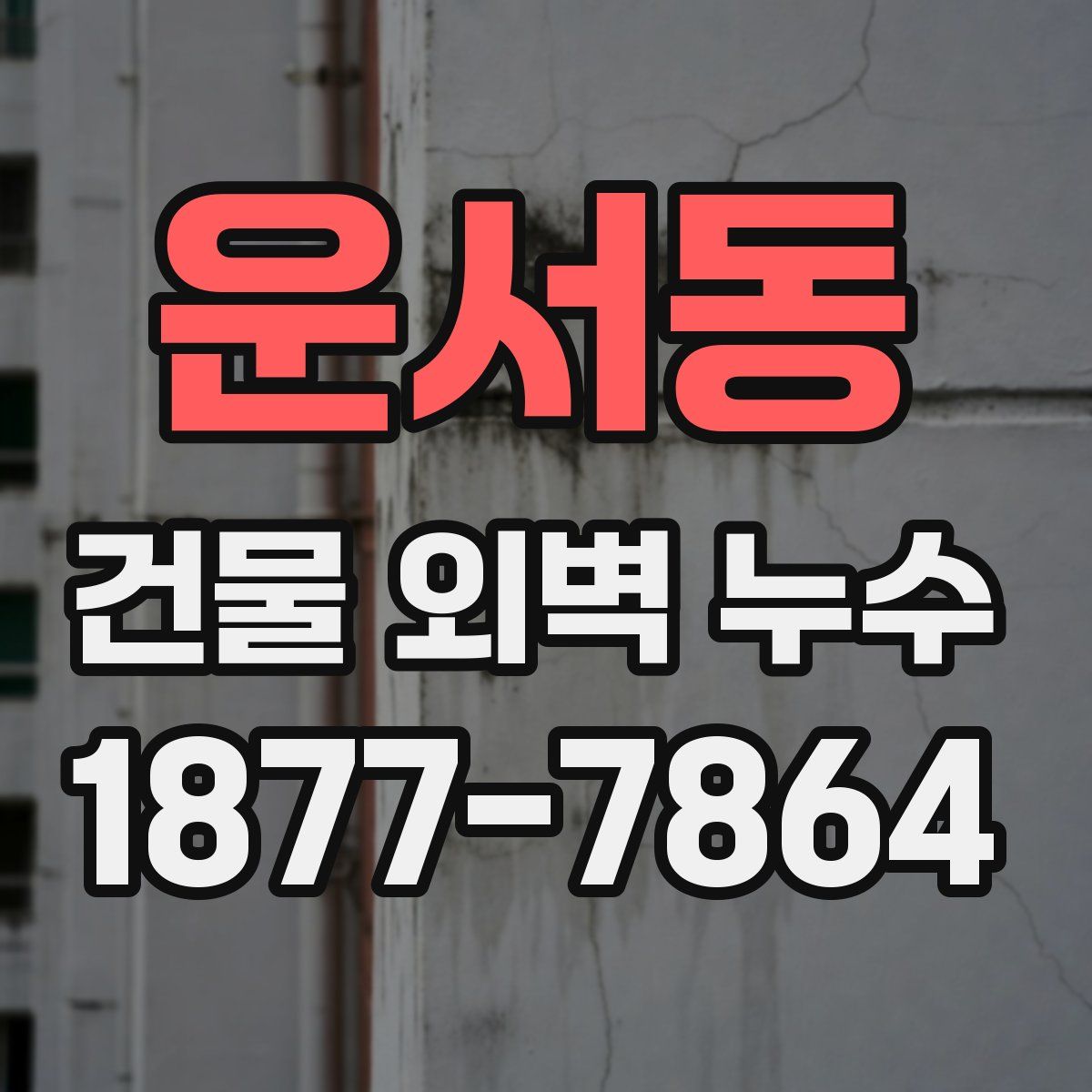 운서동 건물 외벽 누수