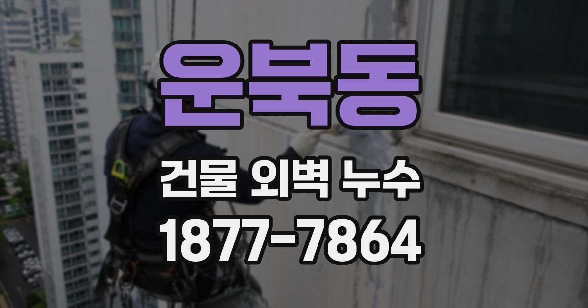운북동 건물 외벽 누수