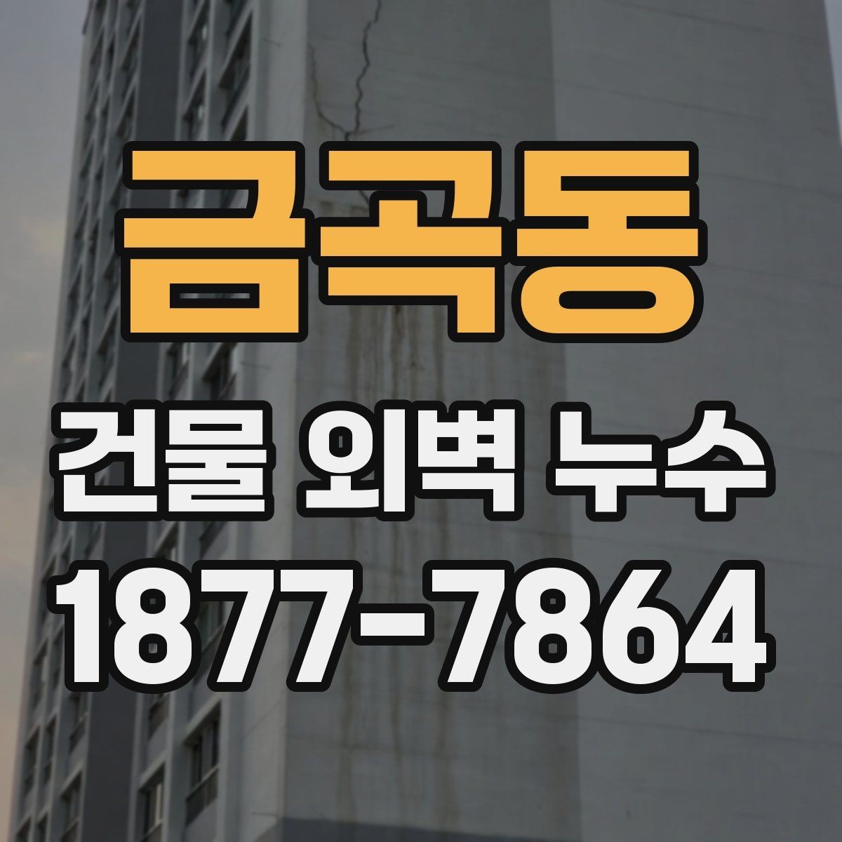 금곡동 건물 외벽 누수 보수 비용에 영향을 주는 요인
