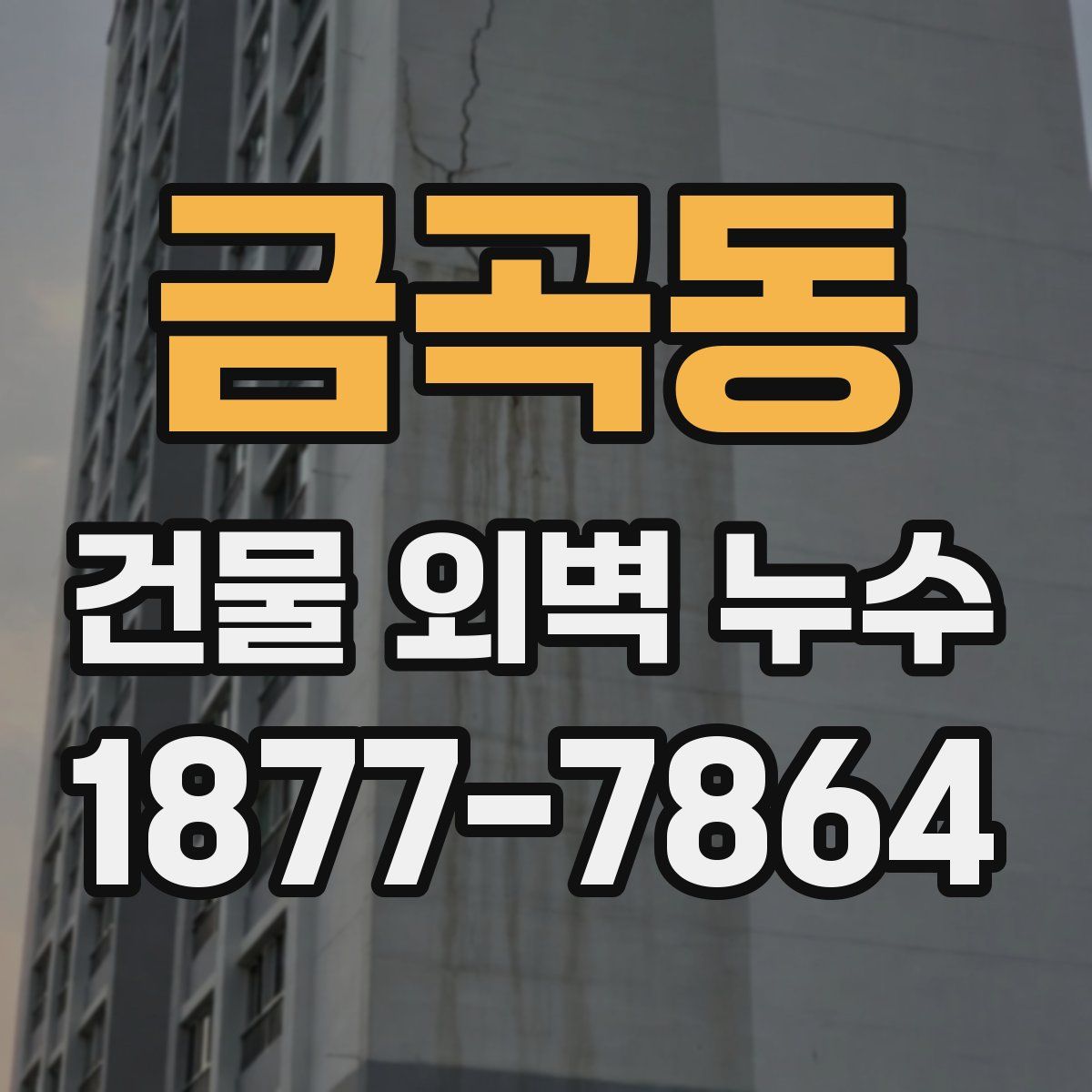 금곡동 건물 외벽 누수