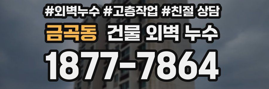 금곡동 건물 외벽 누수