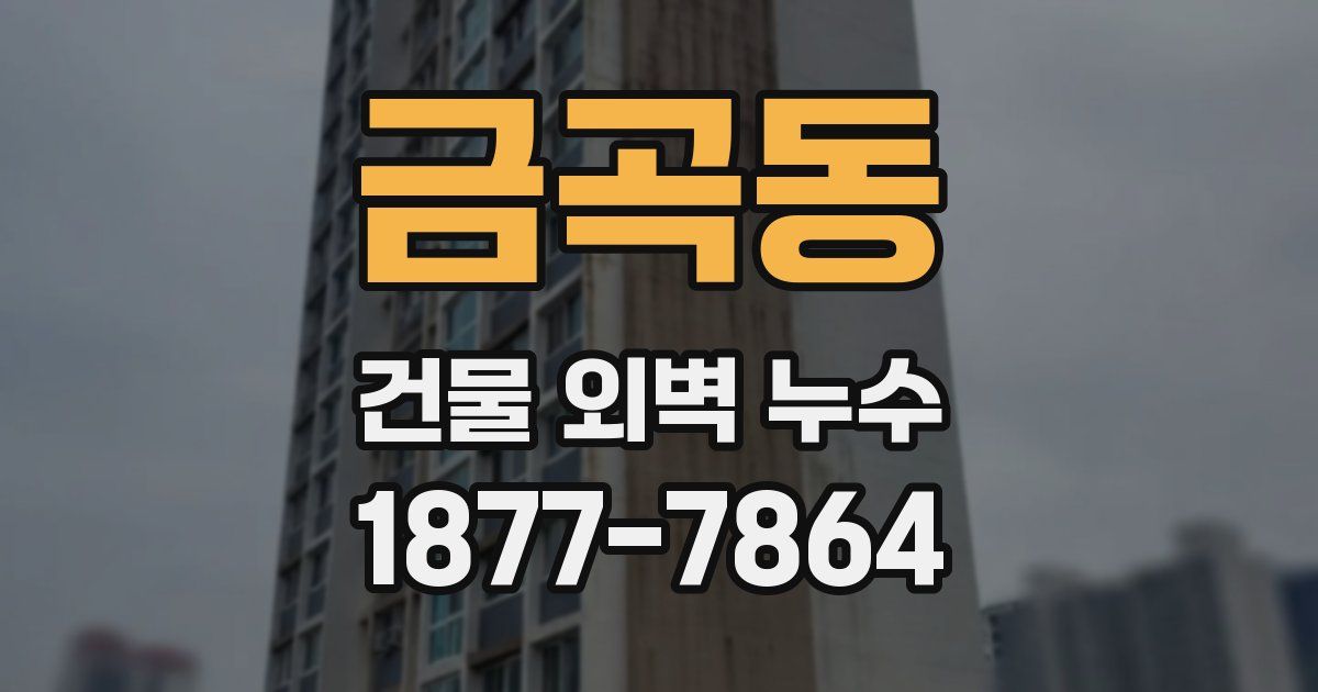 금곡동 건물 외벽 누수