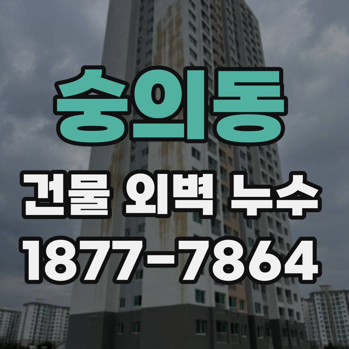 숭의동 건물 외벽 누수