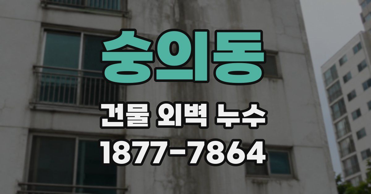 숭의동 건물 외벽 누수