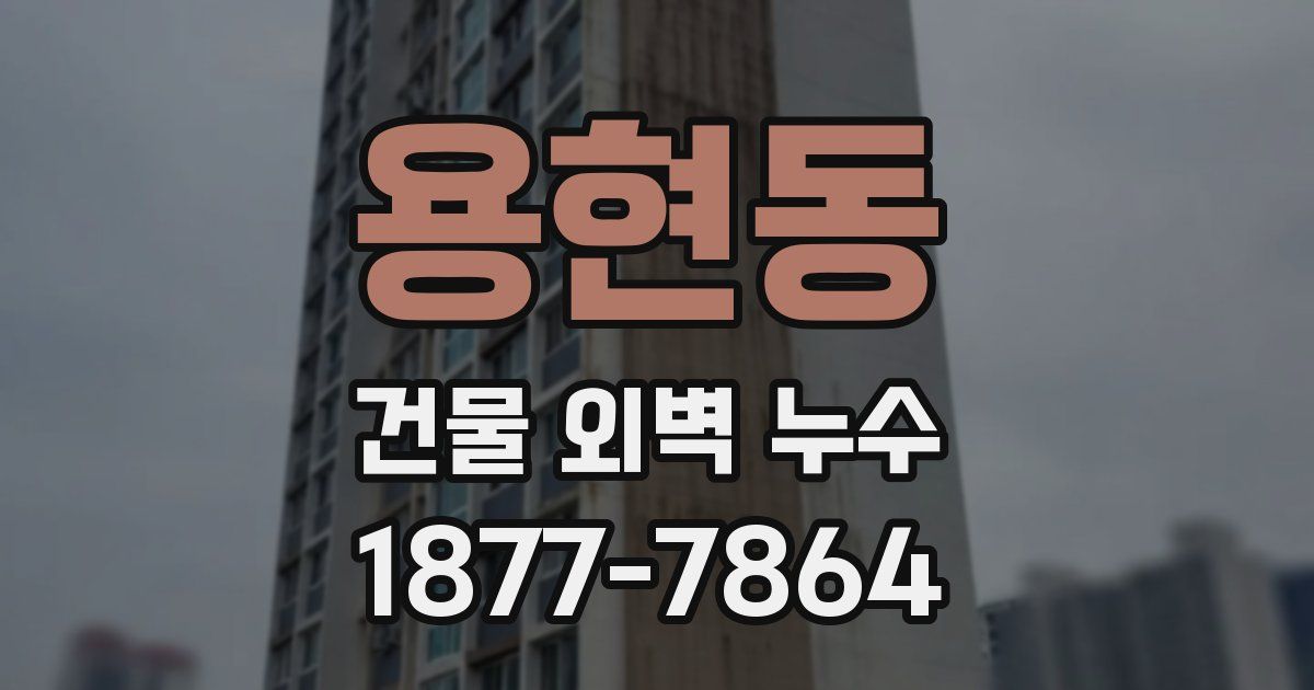 용현동 건물 외벽 누수