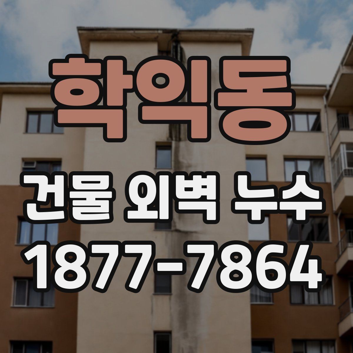학익동 건물 외벽 누수 진단 장비와 활용 방법