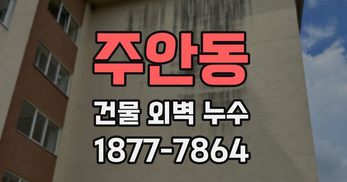 주안동 건물 외벽 누수