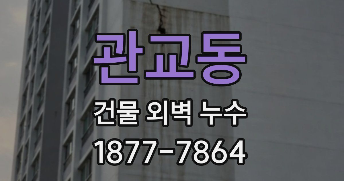 관교동 건물 외벽 누수
