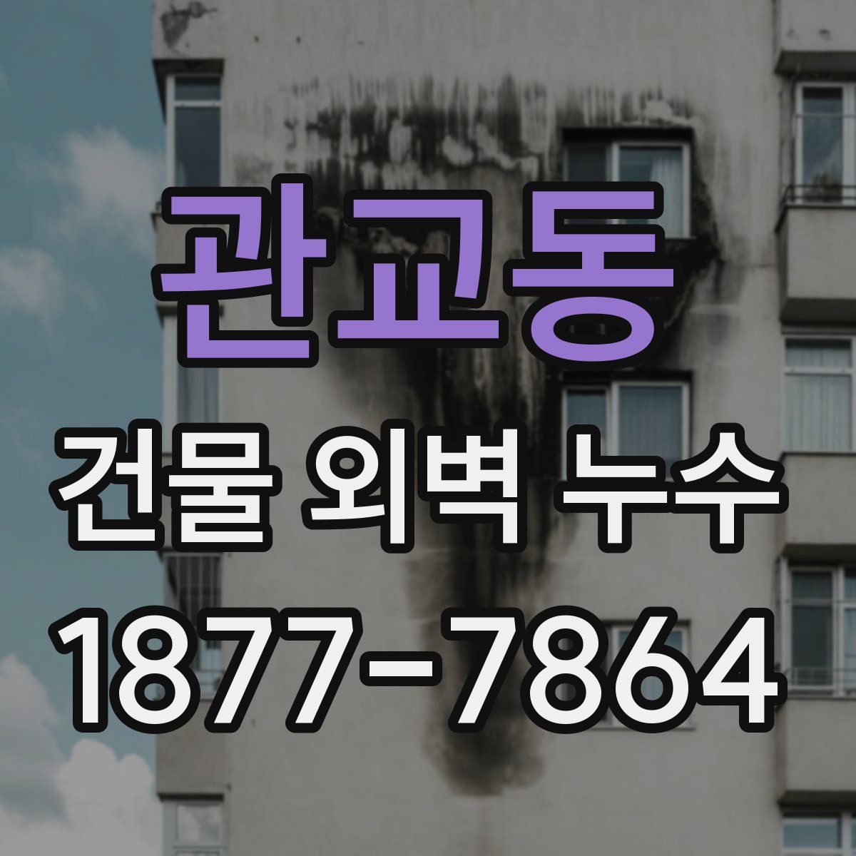 관교동 건물 외벽 누수