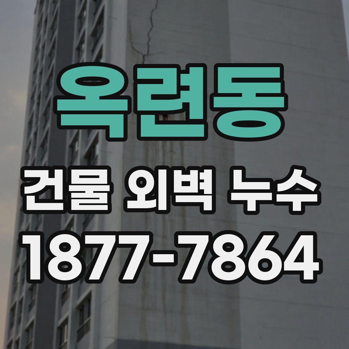 옥련동 건물 외벽 누수