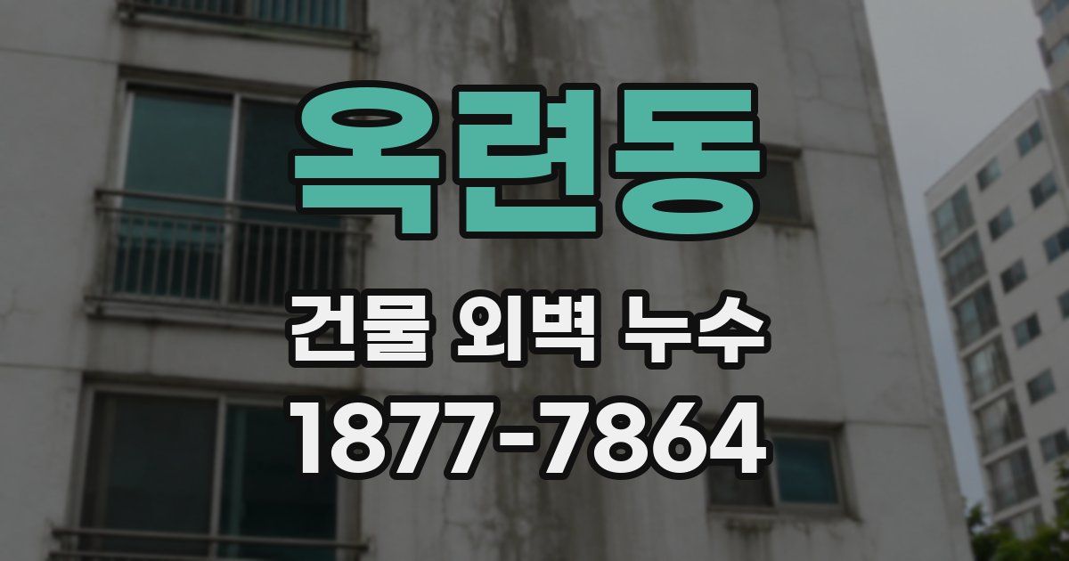 옥련동 건물 외벽 누수
