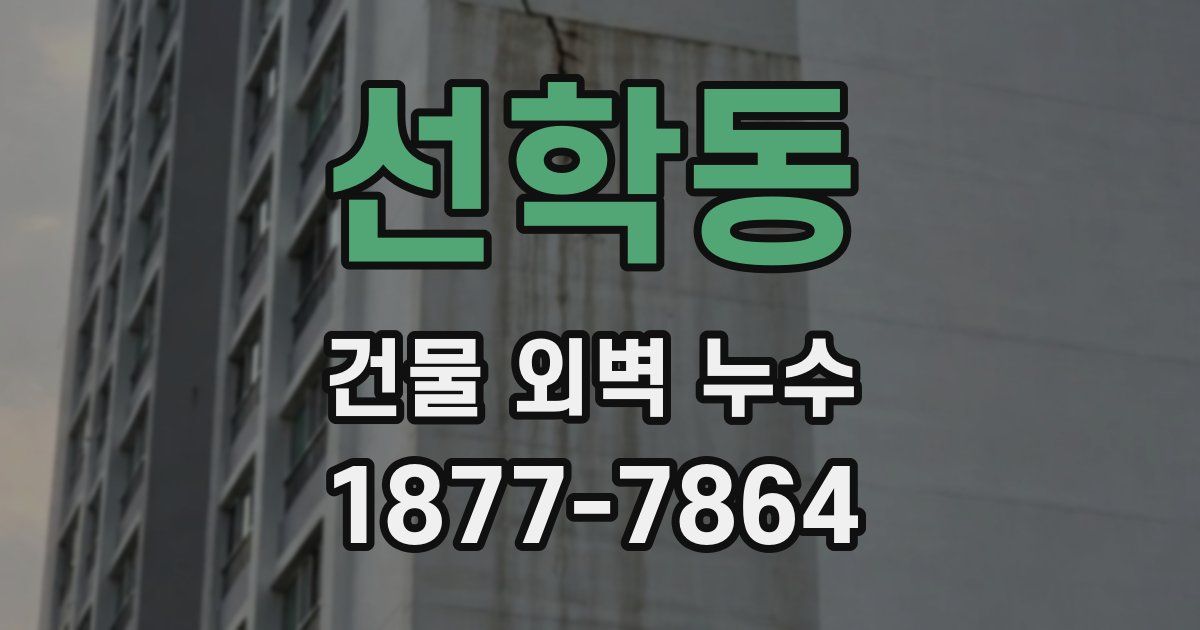 선학동 건물 외벽 누수