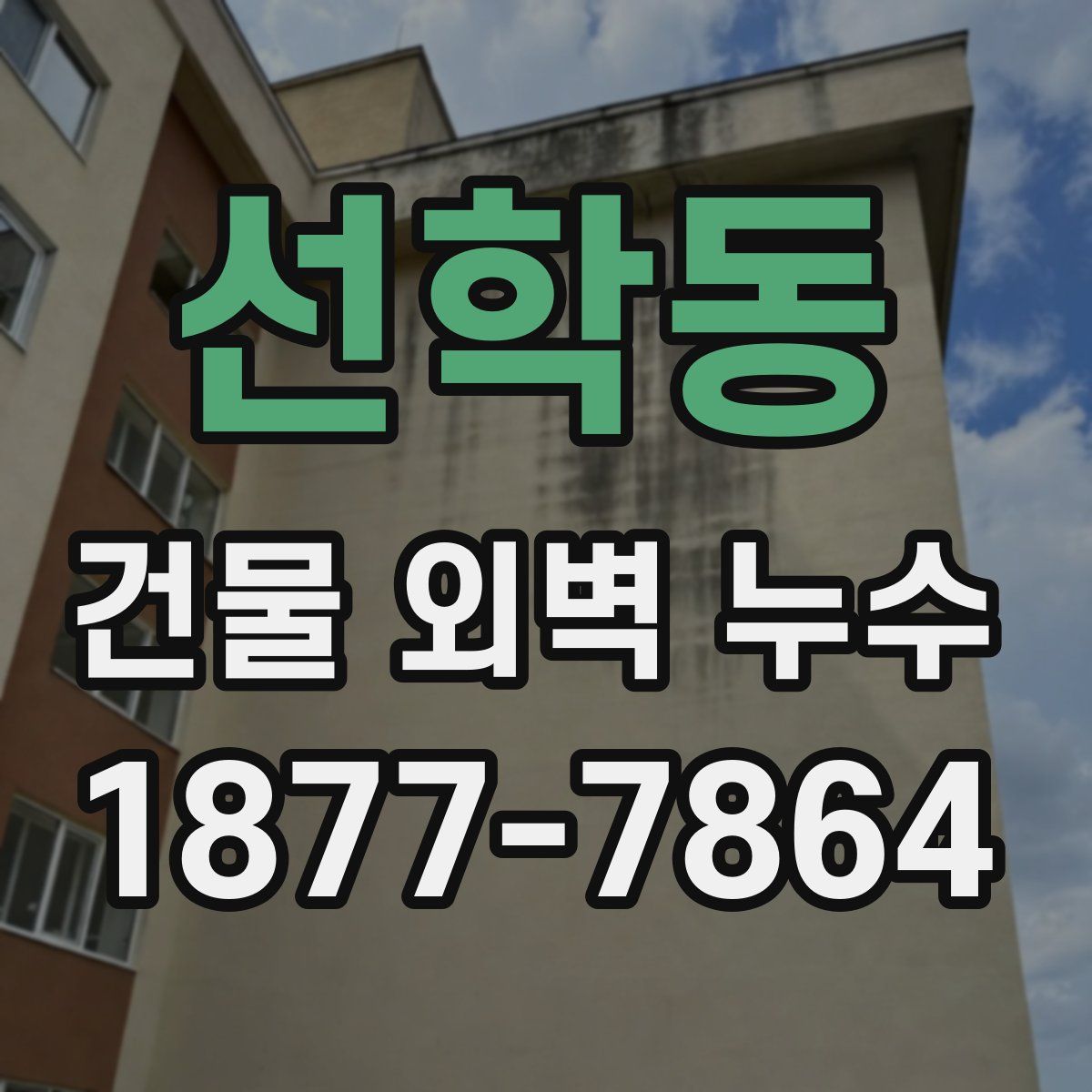 선학동 건물 외벽 누수