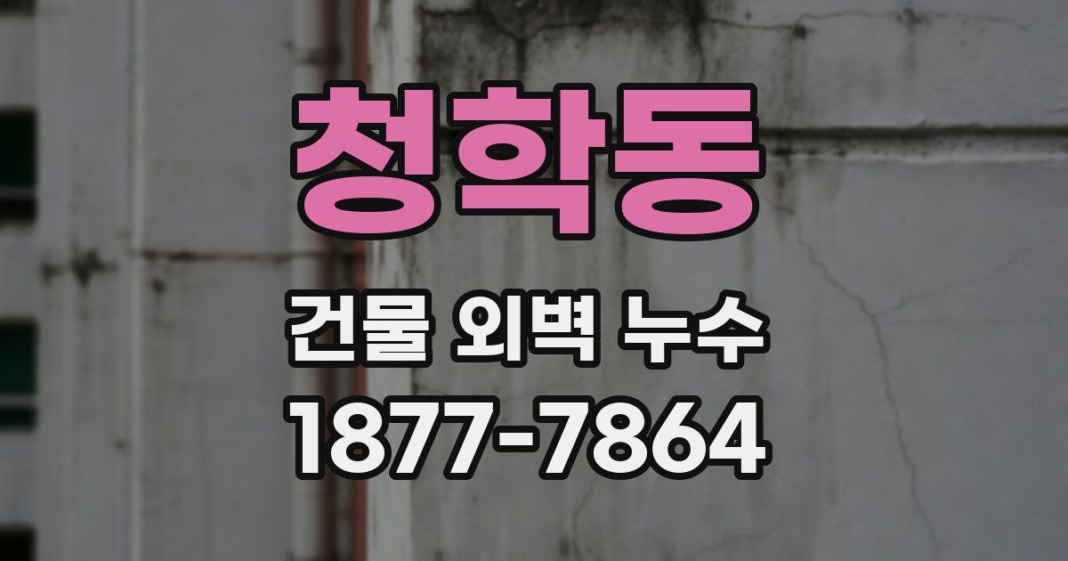 청학동 건물 외벽 누수