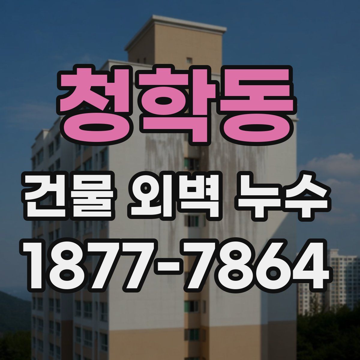 청학동 건물 외벽 누수