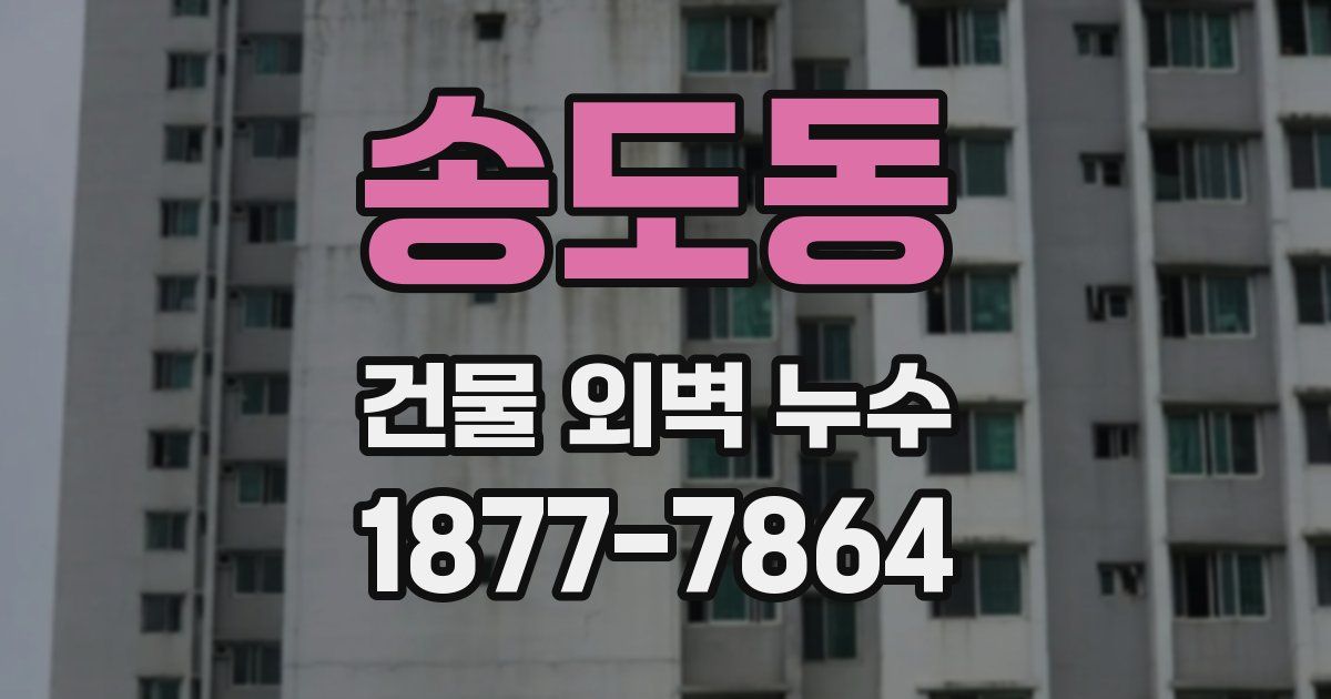 송도동 건물 외벽 누수