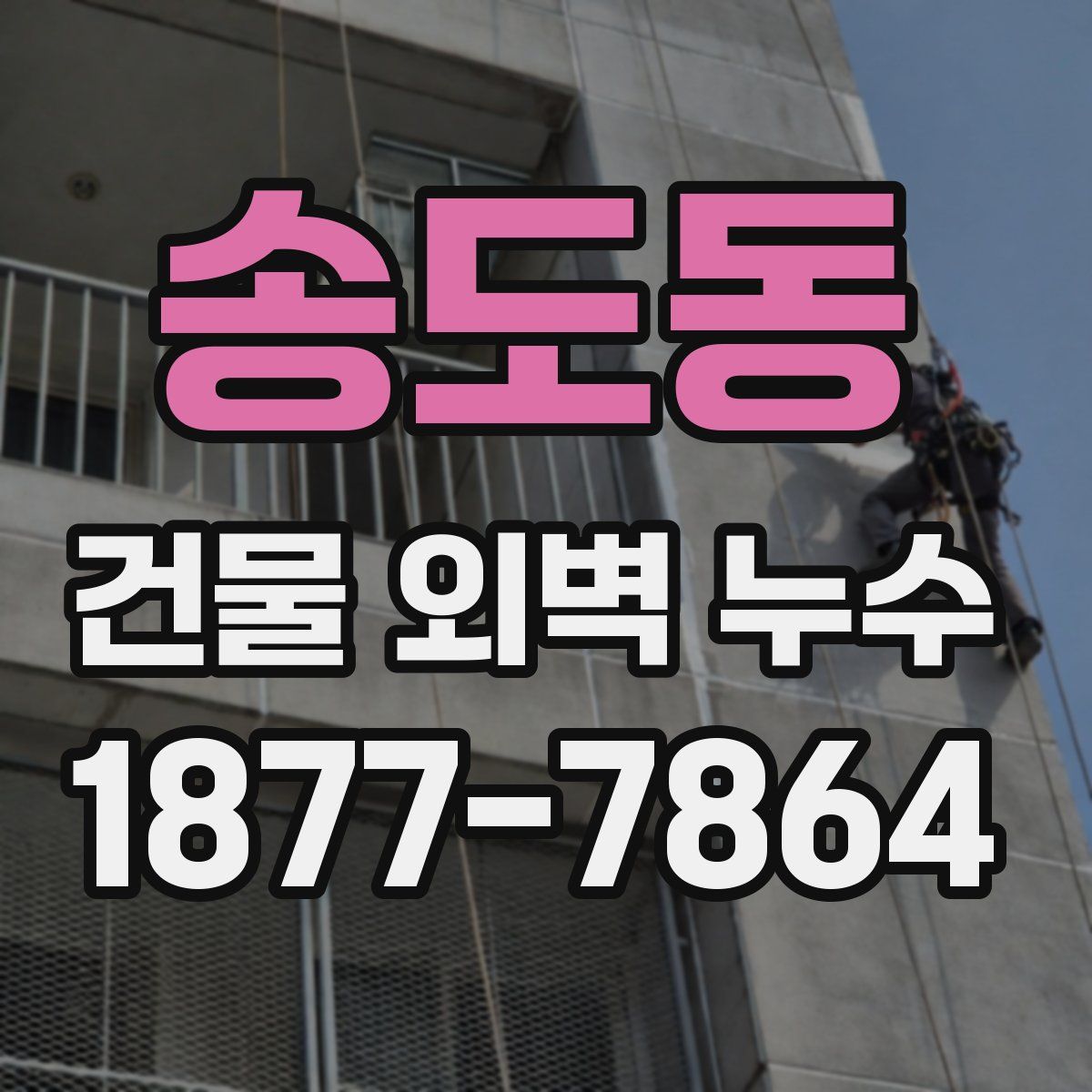 송도동 건물 외벽 누수
