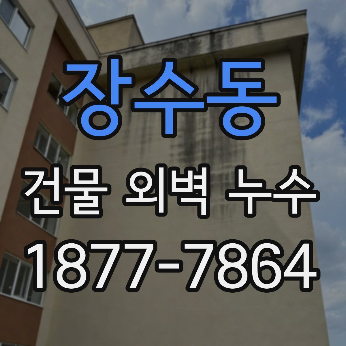 장수동 건물 외벽 누수