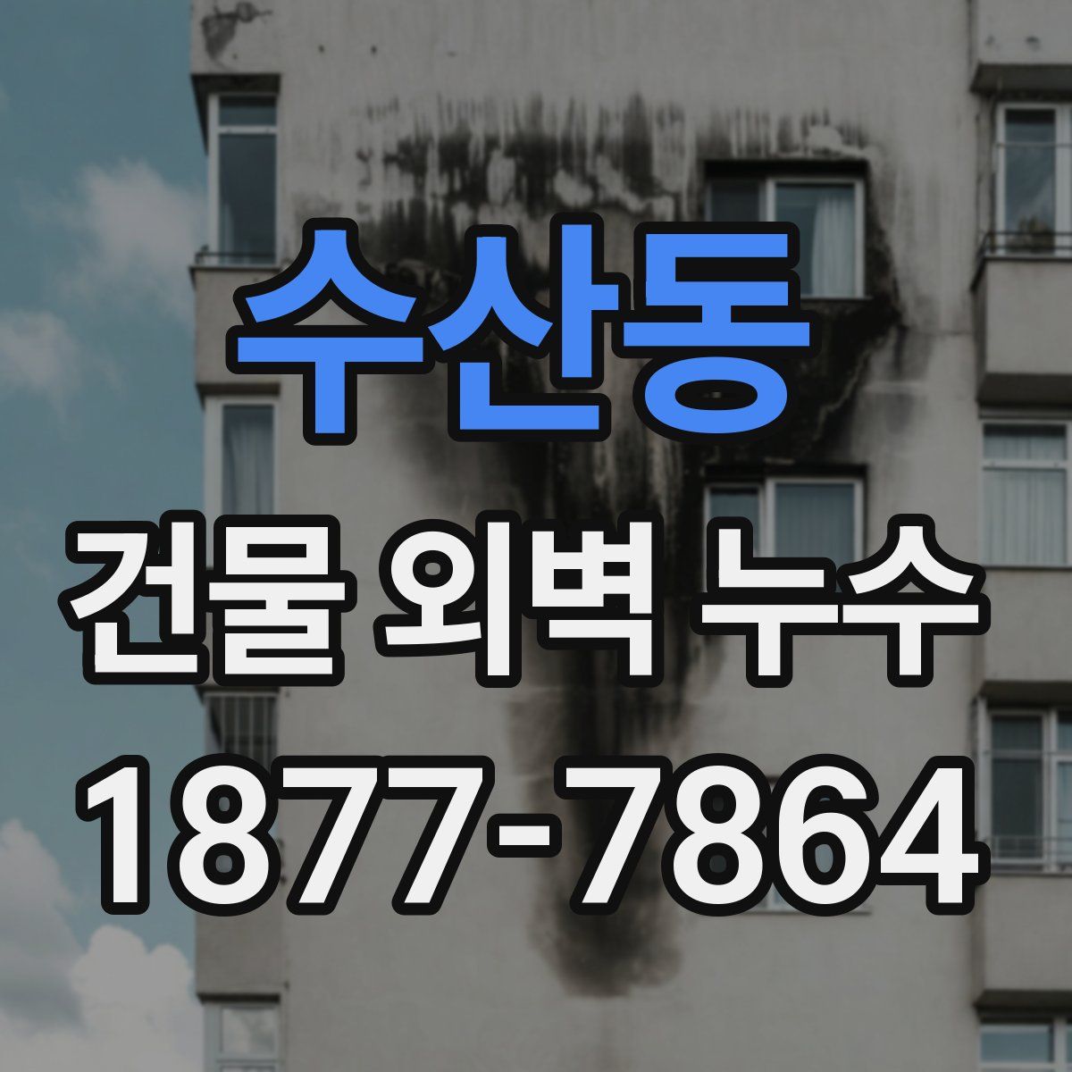 수산동 건물 외벽 누수