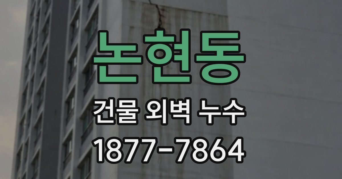 논현동 건물 외벽 누수