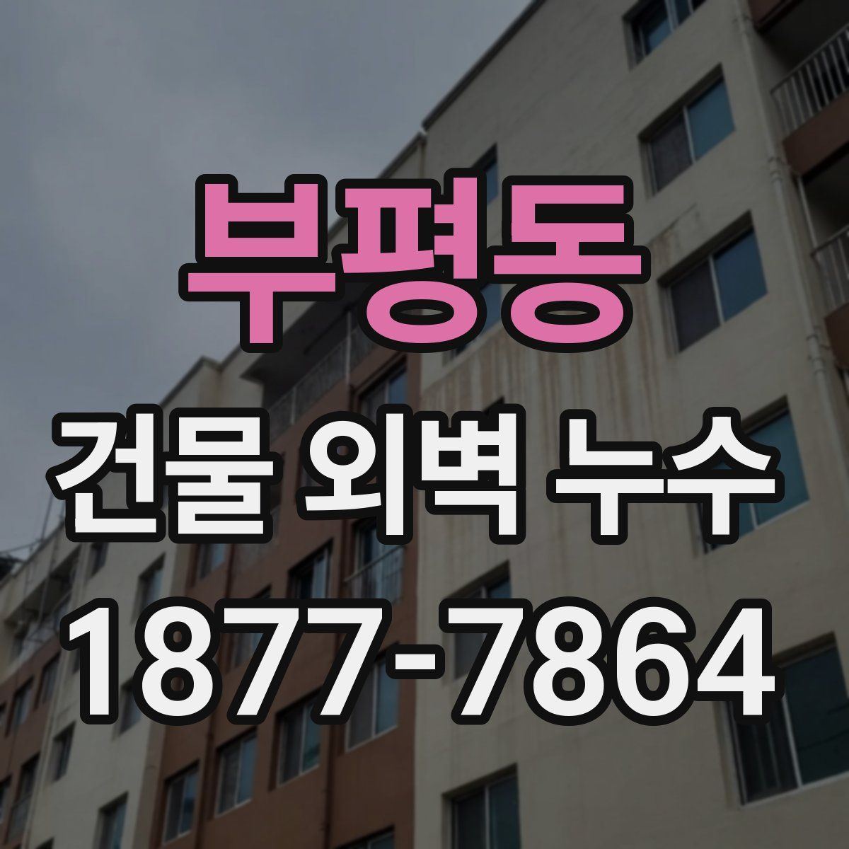 부평동 건물 외벽 누수