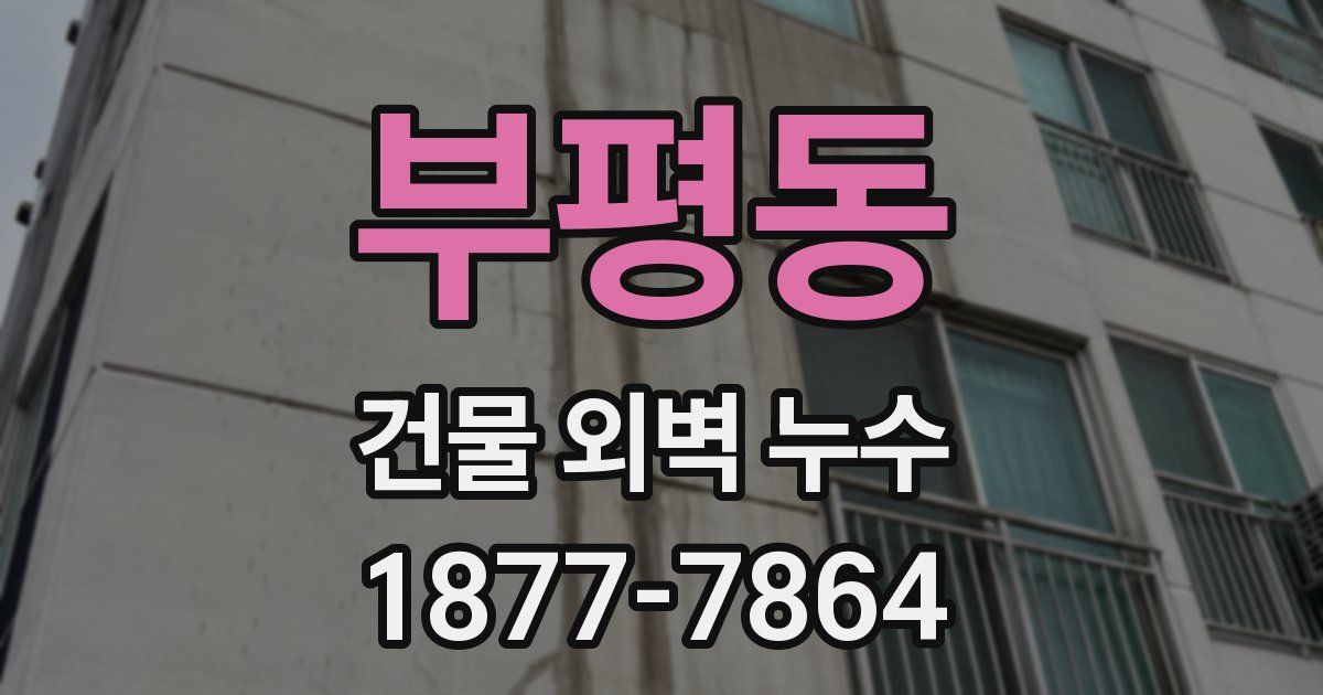 부평동 건물 외벽 누수