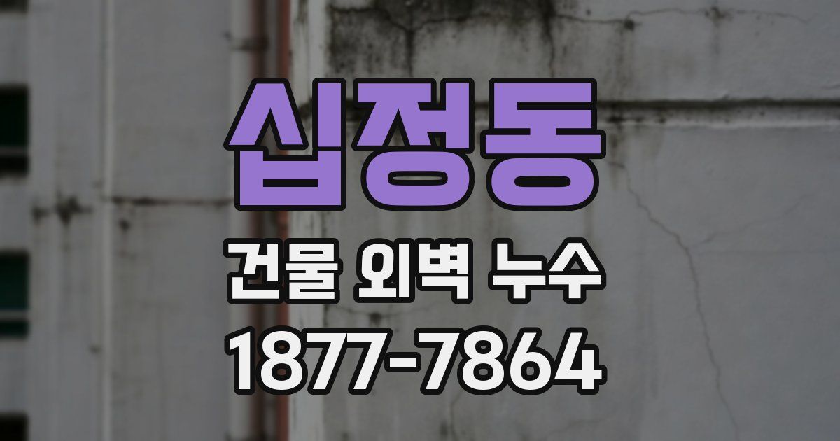 십정동 건물 외벽 누수