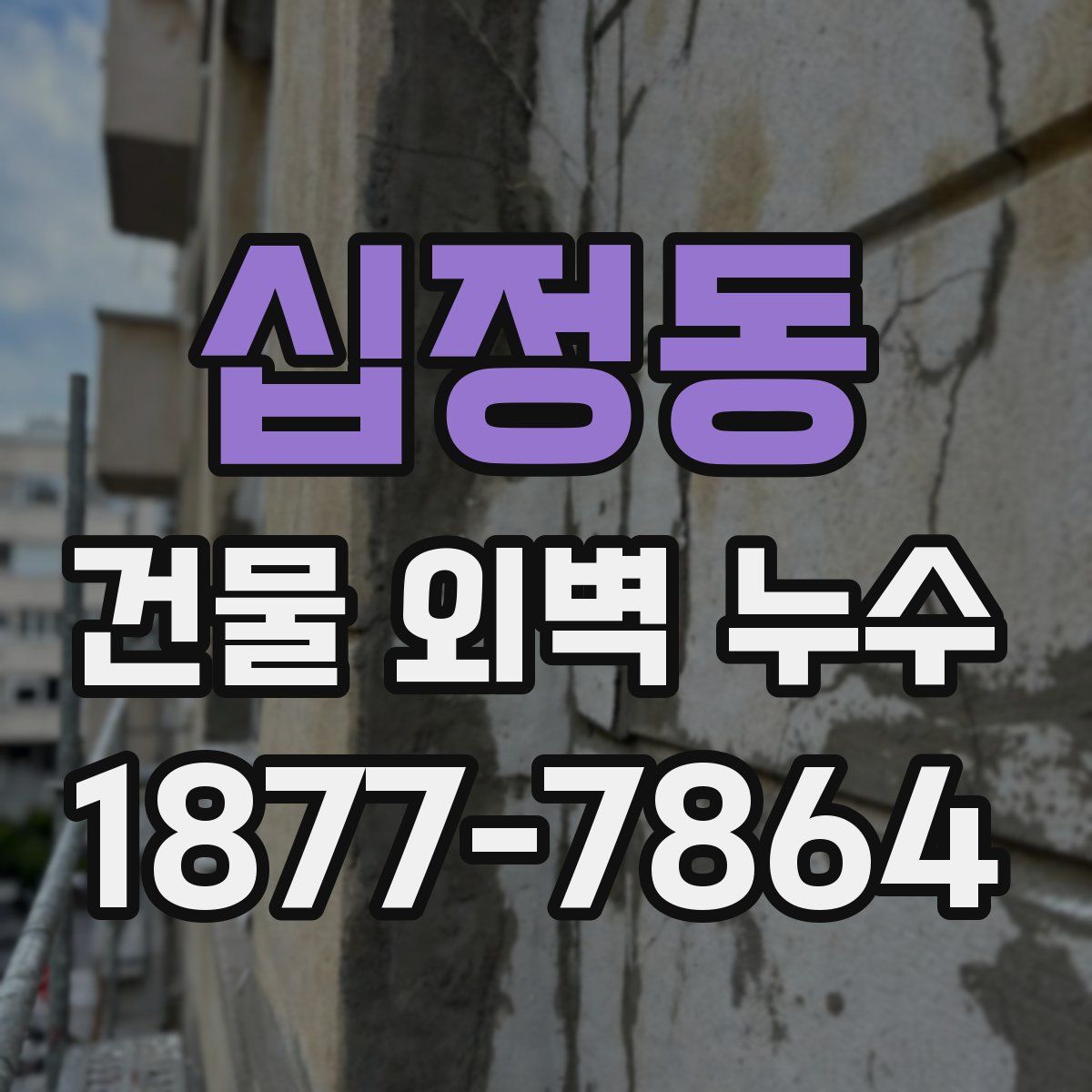 십정동 건물 외벽 누수