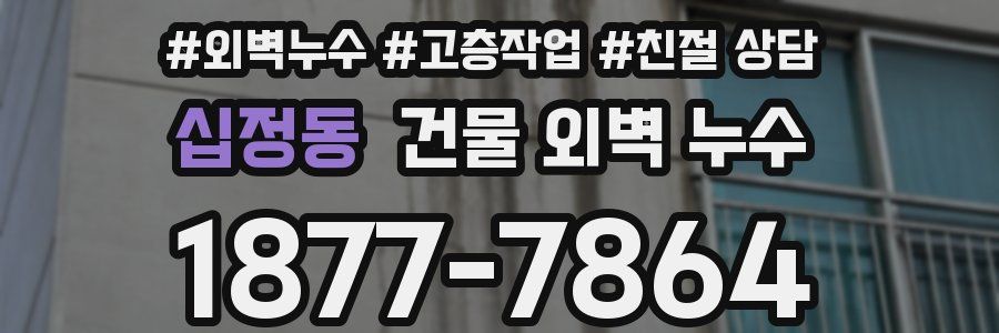 십정동 건물 외벽 누수