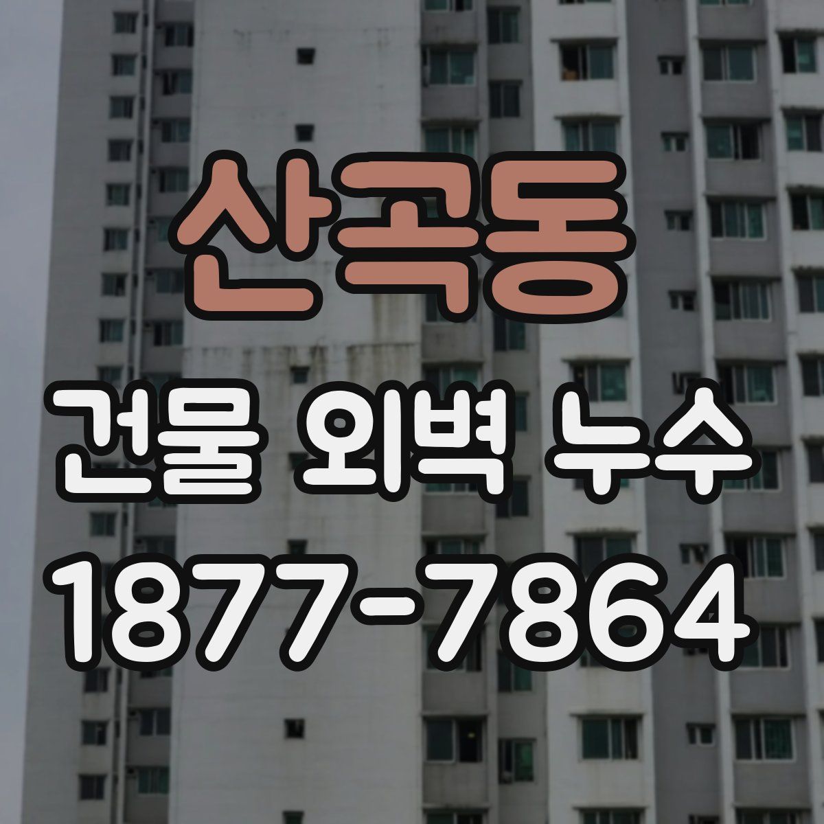 산곡동 건물 외벽 누수