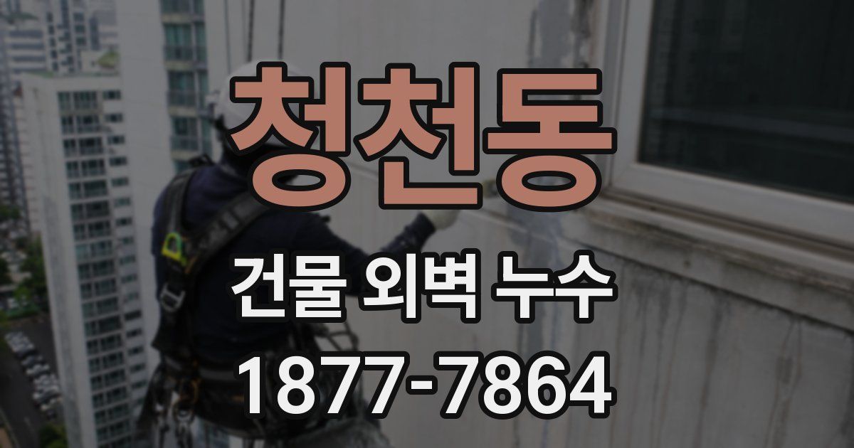청천동 건물 외벽 누수