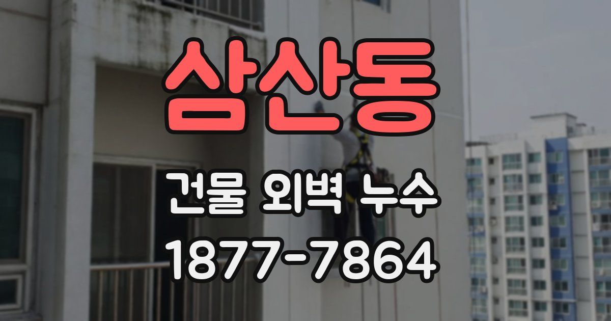 삼산동 건물 외벽 누수